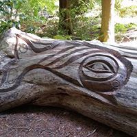 Profile Picture of Ivan Williamson (@igwilliamson0334) on Pinterest