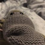 Profile Picture of david the best monkey (@davidplonkitpg) on Instagram