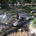 Profile Picture of Jawny (@called_whale) on Instagram