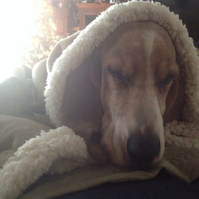 Profile Picture of James Wilburn (@Redtickj) on Twitter