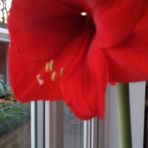 Profile Picture of June Raphael (@june.raphael.393) on Facebook