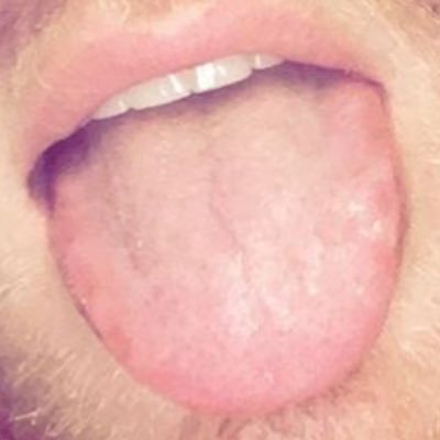 Profile Picture of Scott's Tongue (@hoyingstongue) on Twitter