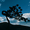 Profile Picture of ClickAustin (@ClickAustin) on Flickr