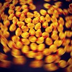 Profile Picture of Lorrie Adams Shuman (@elleshuman) on Instagram