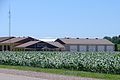 Profile Picture of West Elgin, Ontarioon Wikipedia