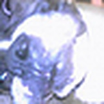 Priscilla627 - Flickr Profile Picture of Priscilla627 (@priscilla627) on Flickr