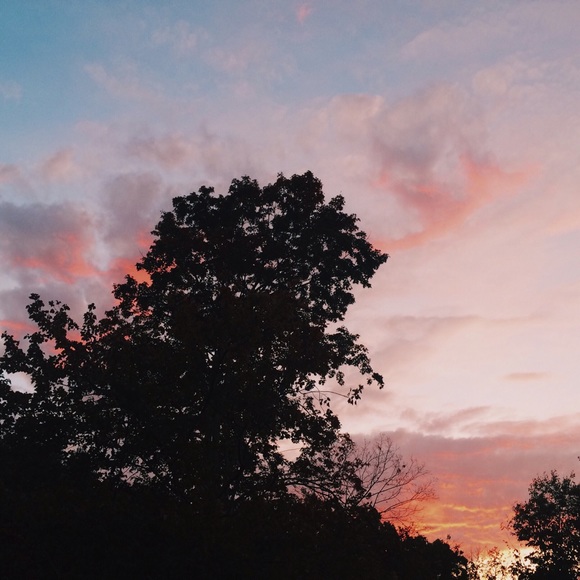 Profile Picture of Kiley Opalinski (@kileyo) on Poshmark