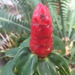 Profile Picture of CleoMoon (@cleo_moonchild) on Instagram