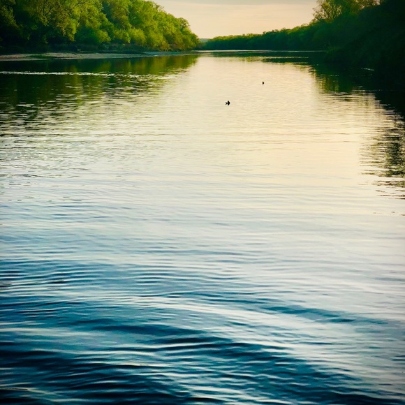 Profile Picture of Kayla Coser (@kc062917) on Poshmark