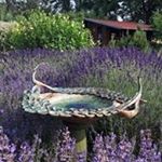 Profile Picture of Martin Vaněk (@bozkobob) on Instagram