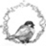 Profile Picture of Grace L (@Lost In A Day Dream) on Flickr