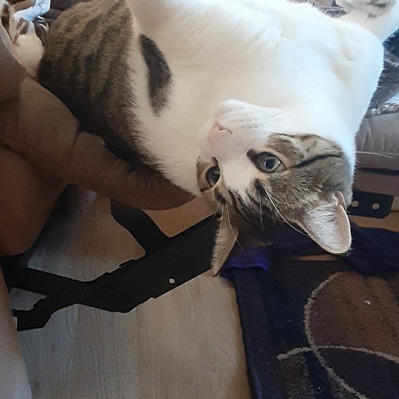 Bobbi Waters - Poshmark Profile Picture of Bobbi Waters (@liv123452020) on Poshmark