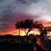 Profile Picture of Gail Bratcher (@bratcher2334) on Pinterest