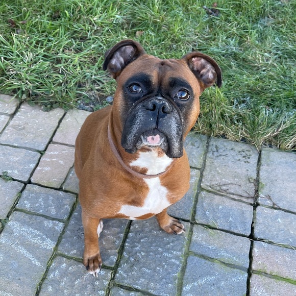 Profile Picture of Isaac Bowne (@isaacbowne) on Poshmark