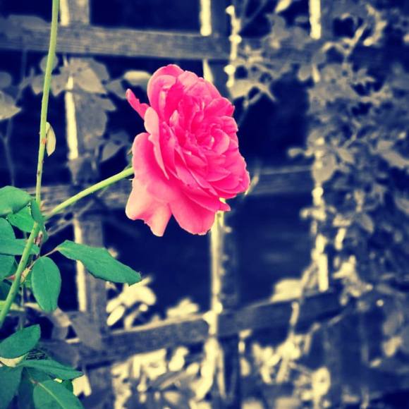 Profile Picture of Simone Schouten (@ssaileen) on Poshmark