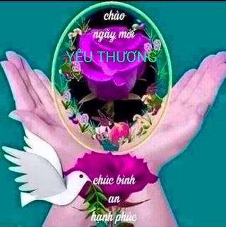Profile Picture of Kiem Trinh (@kiem.trinh.98284) on Facebook