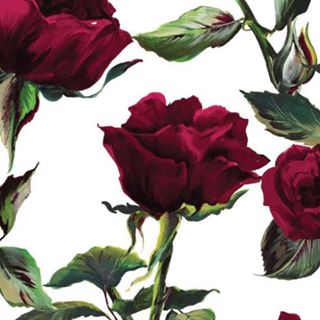 Profile Picture of Lexi Lessard (@lexi.lessard.3) on Facebook