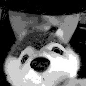 Profile Picture of Dawn Bird (@dawnbird3065) on Youtube