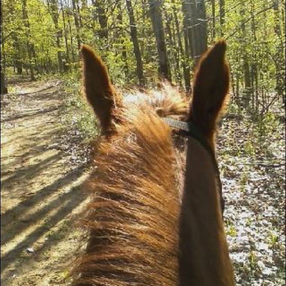 Profile Picture of Cassandra Bignall (@cassbi1234) on Poshmark