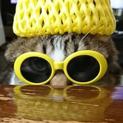 Profile Picture of Kirby (@wkey_kirby) on Tiktok