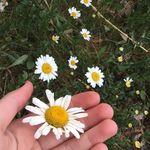 Profile Picture of Taylor Rohatinsky (@taylor_raine3) on Instagram
