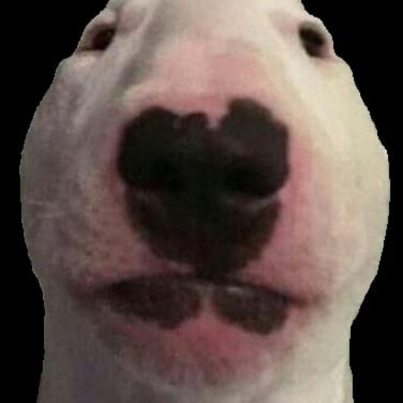 Profile Picture of Alex Mackay (@riutrap) on Poshmark