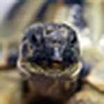 Profile Picture of Andy Michael (@andy.michael97) on Flickr