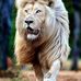 Profile Picture of Jayesh Chauhan (@Jayesh-Chauhan) on Facebook