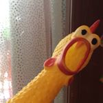 Profile Picture of davidcarnalitoelposho (@davidcarnalitoelposho) on Instagram