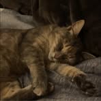 Profile Picture of Jayla Gordon (@jayla.gordon.74899) on Facebook