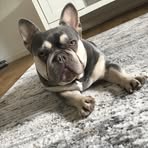 Profile Picture of Bobby James (@Bobby-James) on Facebook