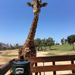 Profile Picture of Max (@max.frei_0805) on Instagram