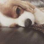 Profile Picture of Baxter Hayes (@baxterhayes) on Instagram