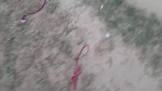 Profile Picture of   Babai Mondal... (@babaimondal17) on Tiktok