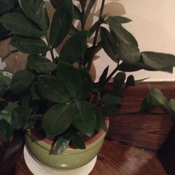 Profile Picture of Drew Reynolds (@drereynolds33) on Poshmark