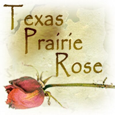 Profile Picture of Shirley Hodges (@TXPrairieRose) on Twitter