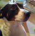 Profile Picture of William Mazzia (@william.mazzia.948) on Facebook