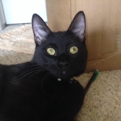 Profile Picture of Tony Milton (@mlb_tony) on Twitter