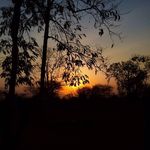 Profile Picture of Chris Joshua Cardozo (@chris_joshua_cardozo) on Instagram