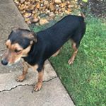 Profile Picture of Matthew Ponce (@matthewponce0801) on Instagram