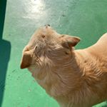 Profile Picture of 이하은 (@tobiasaik_4alec9lo) on Instagram