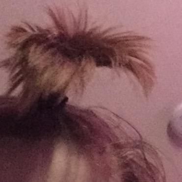 Profile Picture of brad_list (@brad_list) on Tiktok