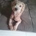 Profile Picture of David Rotenberg (@david.rotenberg.31) on Facebook