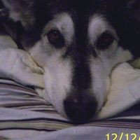 Profile Picture of Lori May (@lori-may-12) on Quora