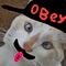 Profile Picture of Jacob Koch (@jacob.koch.543) on Facebook