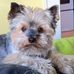 Profile Picture of Peter Hoblík (@peter.hoblik.3) on Facebook