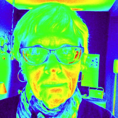 Profile Picture of Carol Cuccia (@4librarylady2) on Twitter