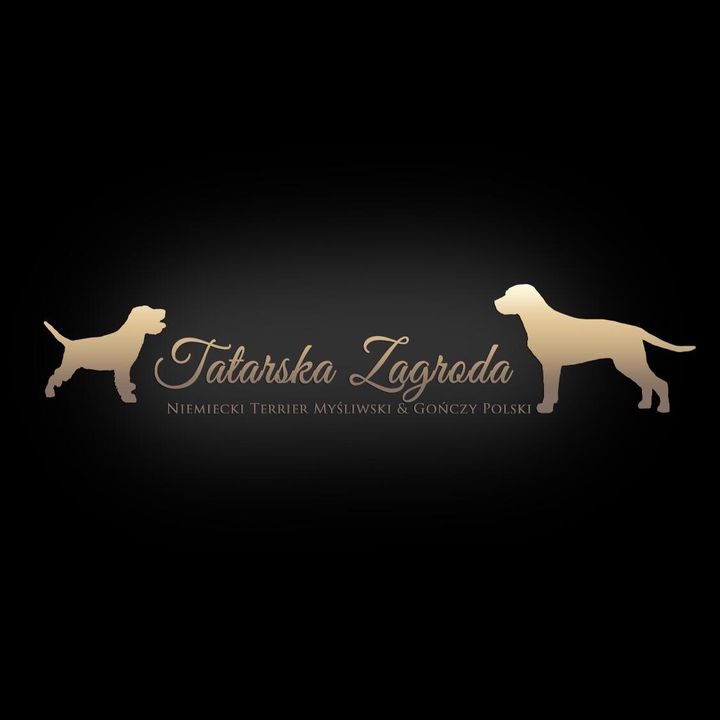 Profile Picture of Adam Tatara (@tatarska.zagroda.fci) on Tiktok