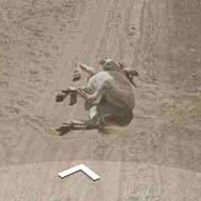 Profile Picture of Josh Monaghan (@JoshMonaghan1) on Twitter