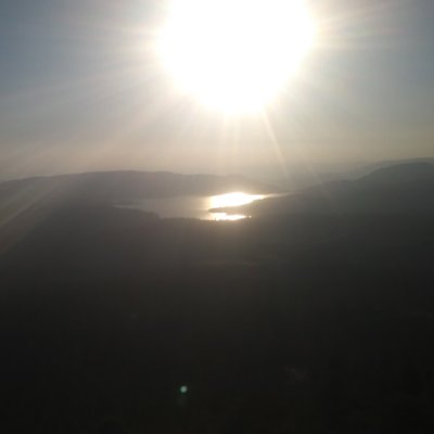 Profile Picture of Shay Leon (@ShayLeon8) on Twitter